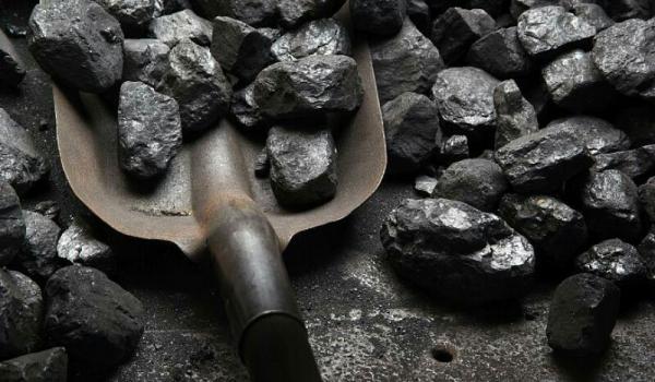 آشنایی با صفر تا صد صادرات زغال