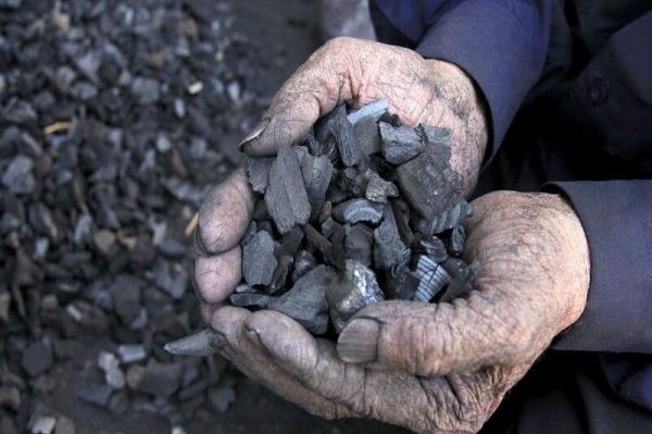 خرید مستقیم زغال خوب از معتبرترین فروشنده