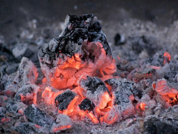 فروش زغال در ارومیه با نازل ترین قیمت