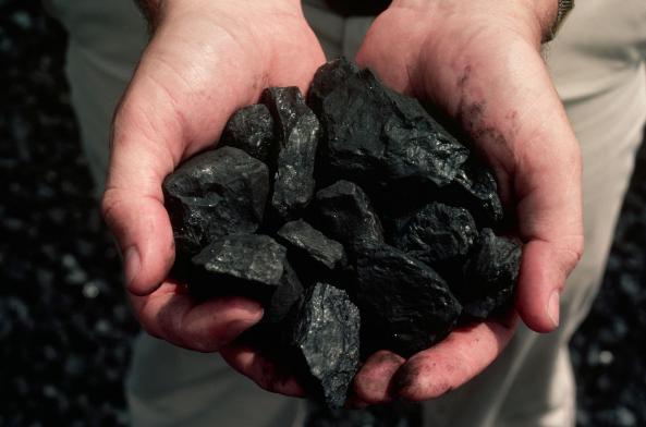 معرفی زغال با کیفیت مناسب برای همه فصول