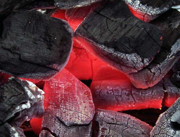  خرید مستقیم زغال کبابی سنتی از فروشندگان معتبر