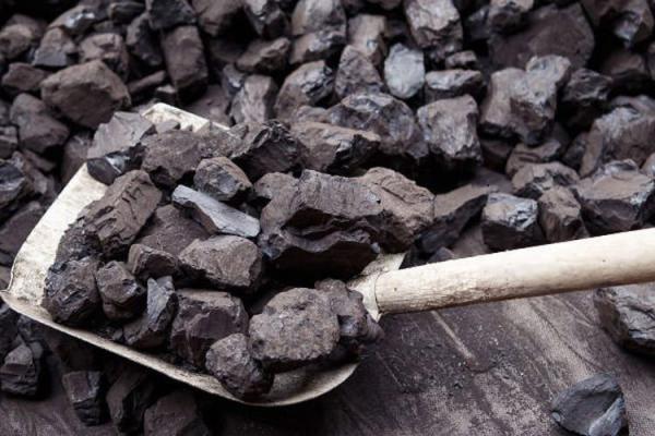 از یک زغال با کیفیت چه میدانید